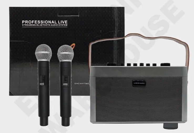 All In One Dj Mixer With 2 Mics 50watts