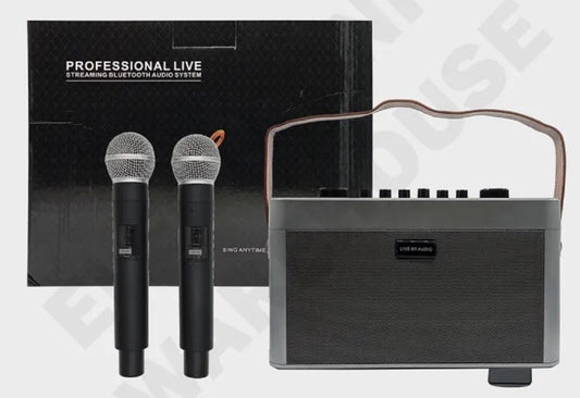 All In One Dj Mixer With 2 Mics 50watts