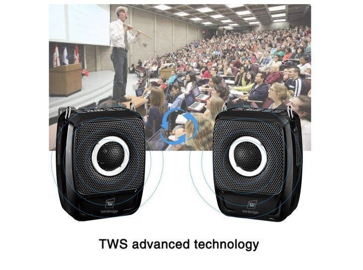Voice Amplifier with Dual Professional Microphones Wireless-25W Portable Micr...