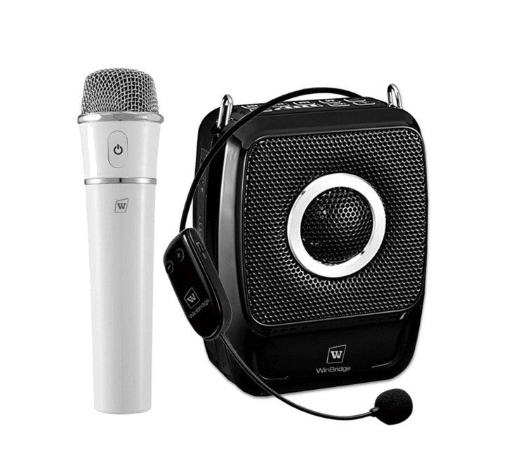 Voice Amplifier with Dual Professional Microphones Wireless-25W Portable Micr...